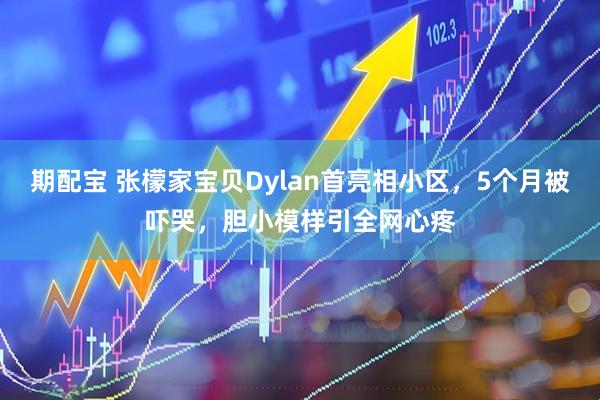 期配宝 张檬家宝贝Dylan首亮相小区，5个月被吓哭，胆小模样引全网心疼