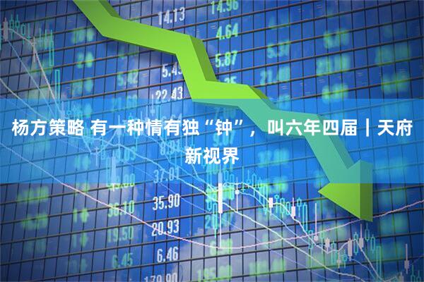 杨方策略 有一种情有独“钟”，叫六年四届｜天府新视界