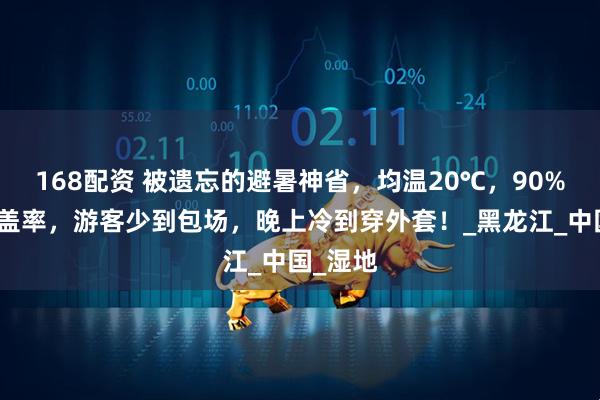 168配资 被遗忘的避暑神省，均温20℃，90%森林覆盖率，游客少到包场，晚上冷到穿外套！_黑龙江_中国_湿地